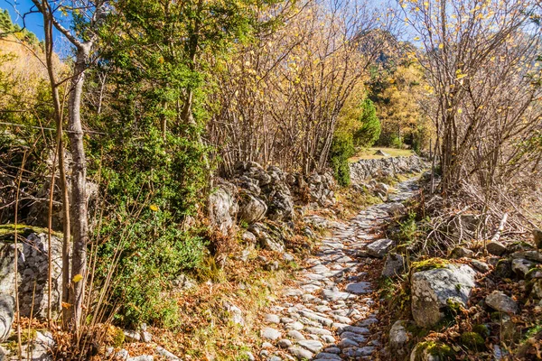 Chemin Pierre Dans Vallée Madriu Perafita Claror Andorre — Photo