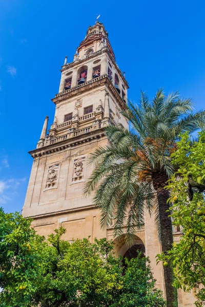 西班牙科尔多瓦清真寺大教堂 Mezquita Catedral — 图库照片