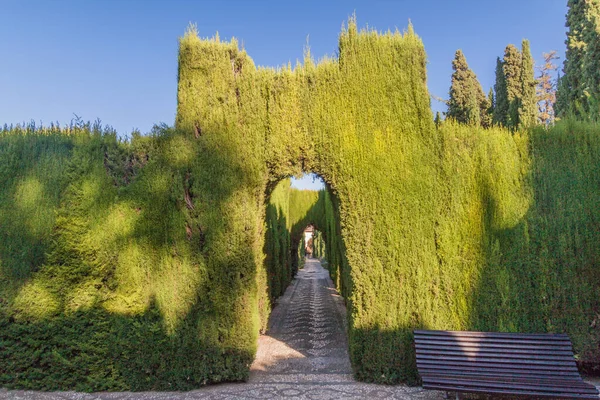 Giardini Jardines Del Generalife All Alhambra Granada Spagna — Foto Stock