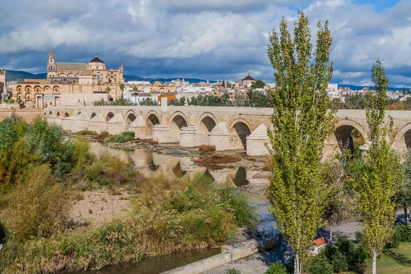 Moschea Cattedrale Ponte Romano Cordova Spagna — Foto Stock