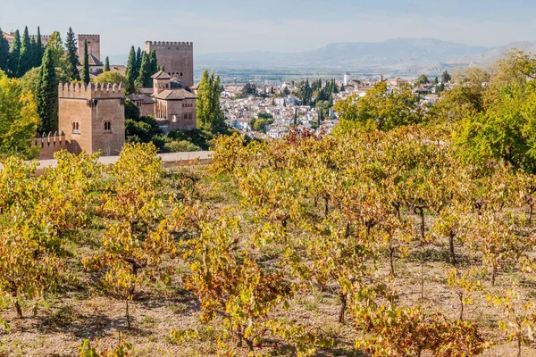 Viñedo Fortaleza Alhambra Granada España — Foto de Stock
