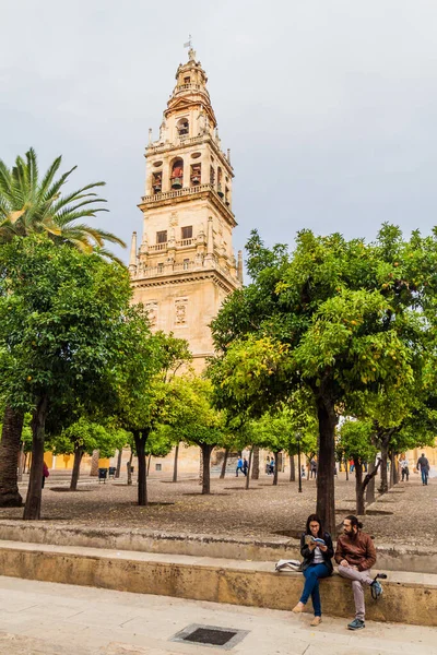 Cordoba Spagna Novembre 2017 Interno Della Moschea Cattedrale Cordova Spagna — Foto Stock