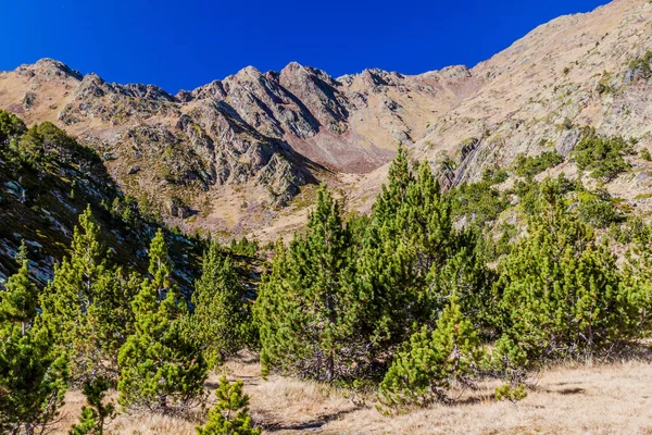 Andorra Daki Parc Natural Comunal Les Valls Del Comapedrosa Ulusal — Stok fotoğraf