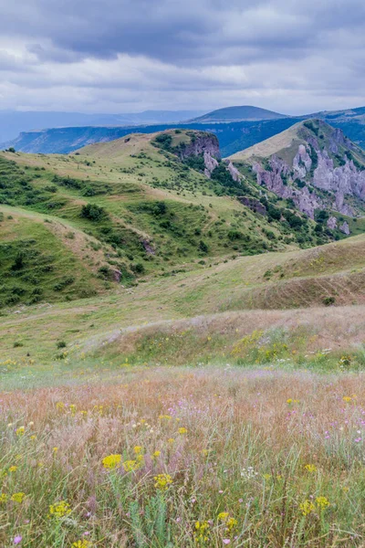アルメニアのゴリス町付近の牧草地 — ストック写真