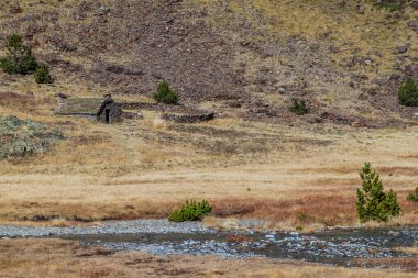 Andorra 'daki Parc Natural Comunal de les Valls del Comapedrosa Ulusal Parkı' ndaki eski taş ev.