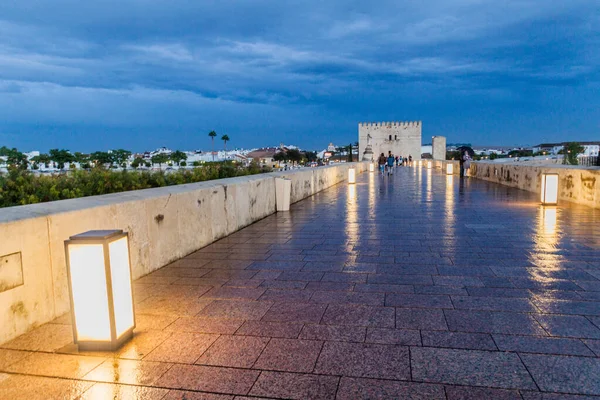 Cordoba Spain November 2017 People Crossing Roman Bridge Cordoba — Stock Photo, Image