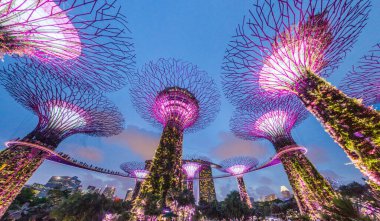 SINGAPORE, ŞARKI - 11 Mart 2018 Singapur 'daki Supertree Grove' un Akşam Görüşü