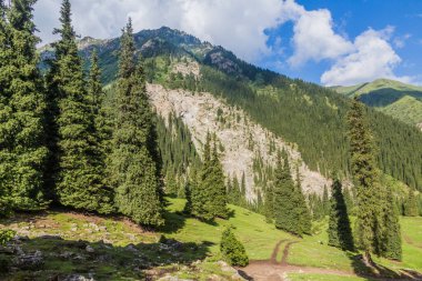 Kırgızistan 'daki Terskey Alatau dağ sırasındaki Arashan vadisi.