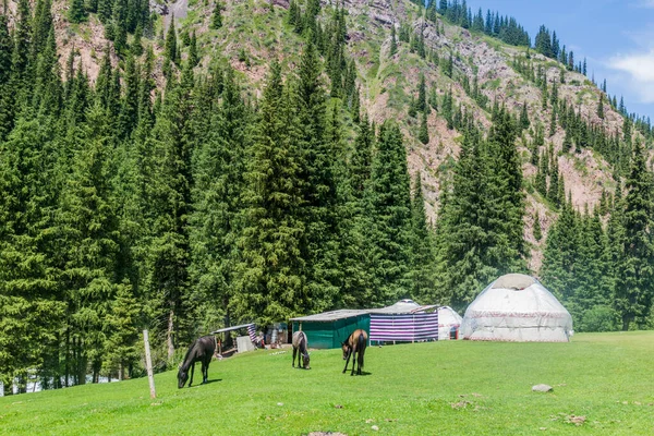 Γιούρτς Και Άλογα Στην Κοιλάδα Jeti Oguz Κιργιζία — Φωτογραφία Αρχείου