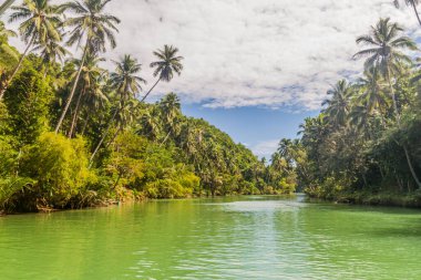 Filipinler, Bohol Adası 'ndaki Loboc Nehri manzarası