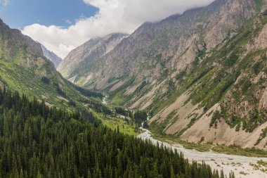 Kırgızistan 'daki Ala Archa Vadisi