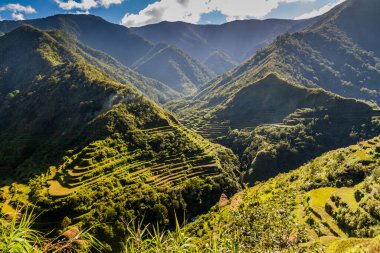 Luzon Adası, Filipinler 'de Ifugao pirinç terasları