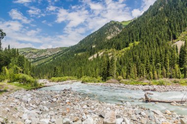 Kırgızistan 'daki Karakol Nehri Vadisi
