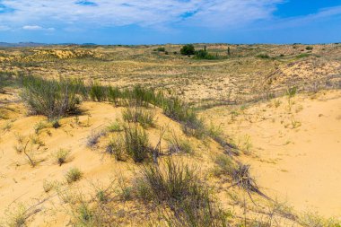 Sarykum (Avrasya 'nın en büyük kum tepesi), Rusya' nın Makhaçkala kenti yakınlarındaki Dağıstan Doğa Rezervi 'nde bulunur.