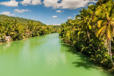 Filipinler, Bohol Adası 'ndaki Loboc Nehri manzarası