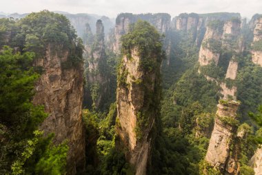 Çin 'in Hunan eyaletindeki Zhangjiajie Ulusal Orman Parkı' ndaki Wulingyuan Manzarası ve Tarihi İlgi Alanı 'ndaki kaya sütunları
