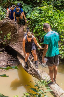 TAMAN NeGARA, MALAYSIA - 17 Mart 2018: Turistler Taman Negara Ulusal Parkı 'ndaki bir dereyi geçiyorlar.