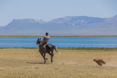 Song KOL, KYRGYZSTAN - 25 Temmuz 2018: Son Kol Gölü kıyılarındaki Ulusal At Oyunları Festivali 'nde ata binen adam