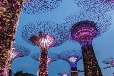 SINGAPORE, ŞARKI - 11 Mart 2018 Singapur 'daki Supertree Grove' un Akşam Görüşü