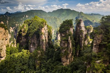 Çin 'in Hunan eyaletindeki Zhangjiajie Ulusal Orman Parkı' ndaki Rocky zirveleri