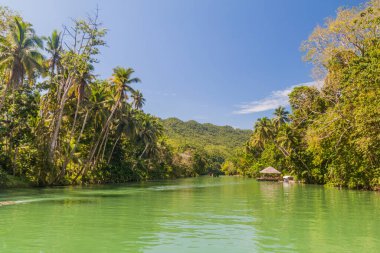 Filipinler, Bohol Adası 'ndaki Loboc Nehri manzarası