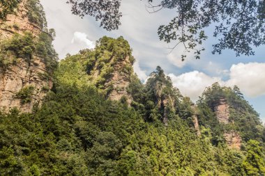 Çin 'in Hunan eyaletindeki Zhangjiajie Ulusal Orman Parkı' nın kayalıkları.