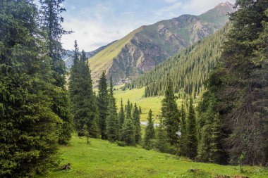 Kırgızistan 'daki Terskey Alatau dağ sırasındaki Arashan vadisi.