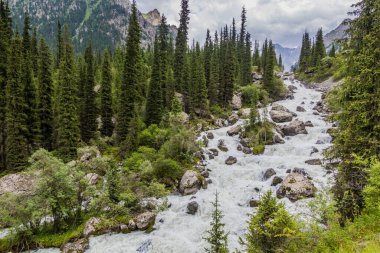 Kırgızistan 'da Karakol Nehri' nin Akıntıları