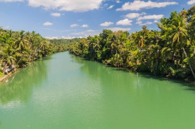 Filipinler, Bohol Adası 'ndaki Loboc Nehri manzarası