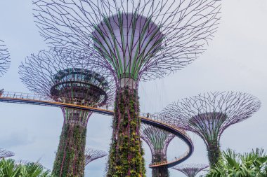Supertree Korusu, Körfezin yanındaki Bahçe, Singapur