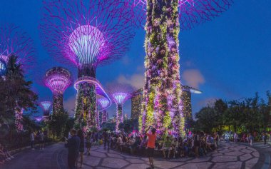 SINGAPORE, SINGAPORE - 11 Mart 2018: Gece Supertree Grove, Körfezin yanındaki Bahçe, Singapur