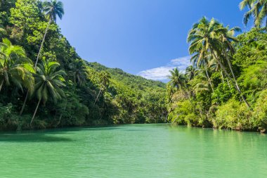 Filipinler, Bohol Adası 'ndaki Loboc Nehri manzarası