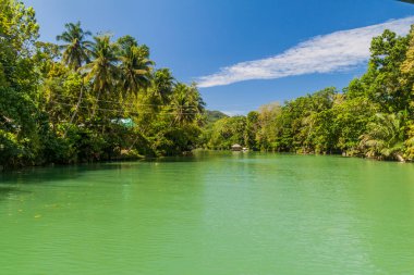 Filipinler, Bohol Adası 'ndaki Loboc Nehri manzarası