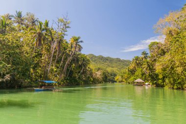 View of Loboc river on Bohol island, Philippines clipart