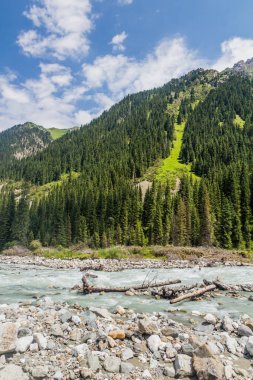 Kırgızistan 'daki Karakol Nehri Vadisi
