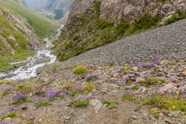 Kırgızistan 'daki Ala Kul Gölü' nden dere akışı