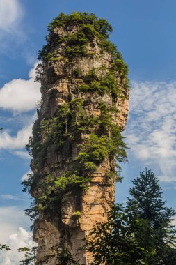 Çin 'in Hunan eyaletindeki Zhangjiajie Ulusal Orman Parkı' nda Rocky zirvesi