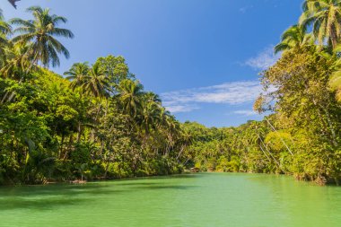 Filipinler, Bohol Adası 'ndaki Loboc Nehri manzarası