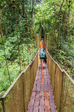 TAMAN NeGARA, MALAYSIA - 16 Mart 2018: Taman Negara Milli Parkı 'ndaki köprüden geçen turistler.