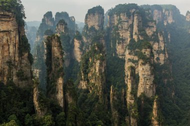 Çin 'in Hunan eyaletindeki Zhangjiajie Ulusal Orman Parkı' ndaki Wulingyuan Sahnesi ve Tarihi İlgi Alanı 'ndaki kumtaşı sütunları.