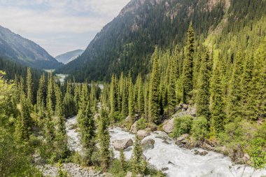 Kırgızistan 'da Karakol Nehri' nin Akıntıları