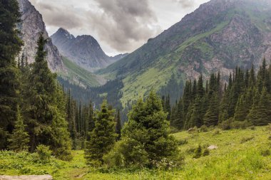 Kırgızistan 'daki Karakol Nehri Vadisi