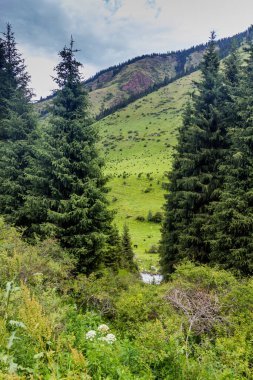 Kırgızistan 'daki Karakol Nehri Vadisi