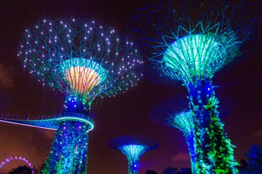 SINGAPORE, ŞARKI - 11 Mart 2018 Singapur 'daki Supertree Grove' un Akşam Görüşü