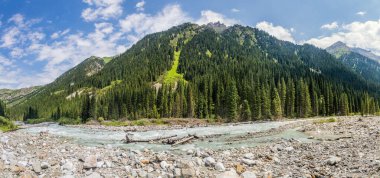 Kırgızistan 'daki Karakol Nehri Vadisi
