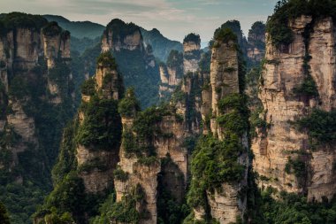 Zhangjiajie Orman Parkı, Çin 'in Wulingyuan Sahne Bölgesi' nde kaya oluşumları