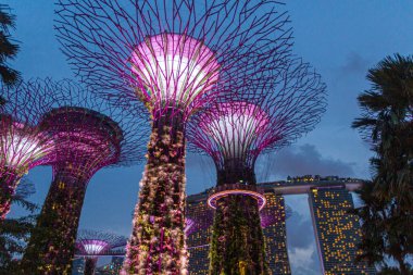 SINGAPORE, SINGAPORE - 11 Mart 2018: Gece Supertree Grove, Körfezin yanındaki Bahçe, Singapur