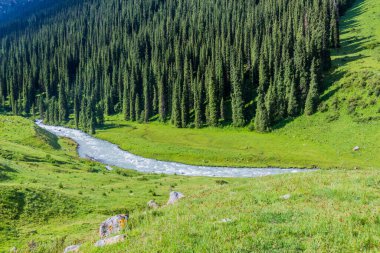 Kırgızistan 'daki Terskey Alatau dağ sırasındaki Arashan vadisi.