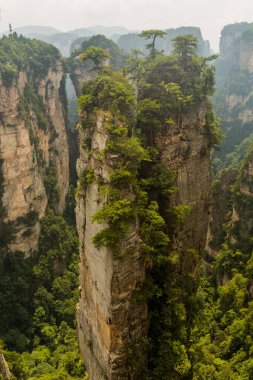 Çin 'in Hunan eyaletindeki Zhangjiajie Ulusal Orman Parkı' ndaki Wulingyuan Sahnesi ve Tarihi İlgi Alanı 'ndaki doğal kaya köprüsü