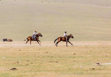 Song KOL, KYRGYZSTAN - 25 Temmuz 2018: Son Kol Gölü kıyılarındaki Ulusal At Oyunları Festivali 'nde çocuklara binmek